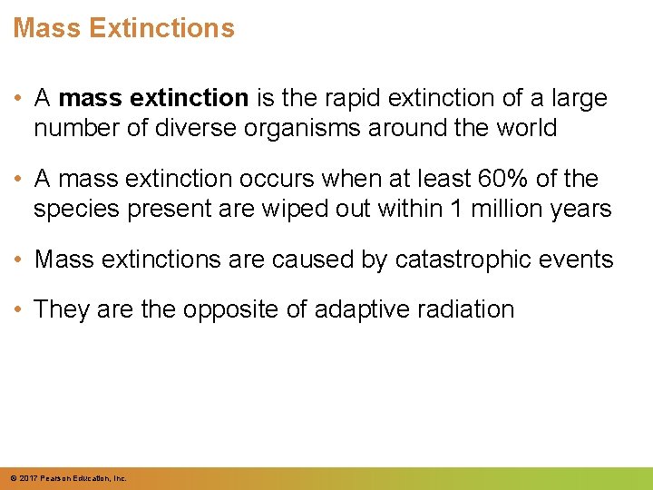 Mass Extinctions • A mass extinction is the rapid extinction of a large number