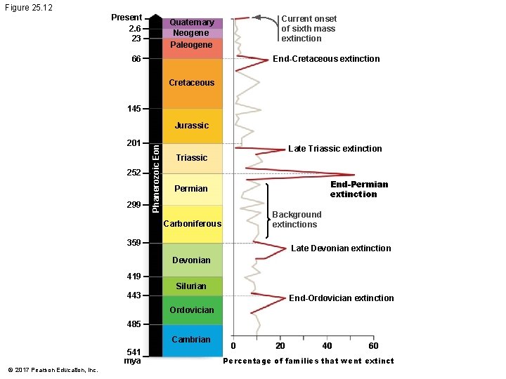 Figure 25. 12 Present 2. 6 23 Current onset of sixth mass extinction Quaternary