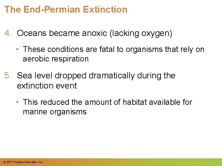 The End-Permian Extinction 4. Oceans became anoxic (lacking oxygen) • These conditions are fatal