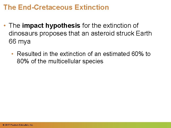 The End-Cretaceous Extinction • The impact hypothesis for the extinction of dinosaurs proposes that