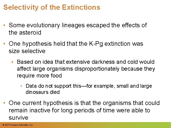 Selectivity of the Extinctions • Some evolutionary lineages escaped the effects of the asteroid