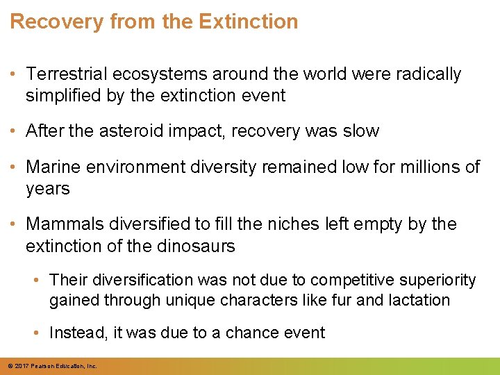 Recovery from the Extinction • Terrestrial ecosystems around the world were radically simplified by