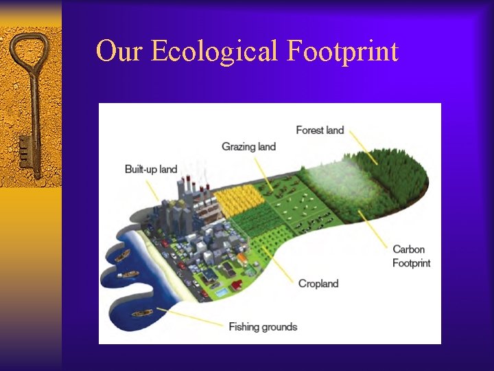 Our Ecological Footprint 