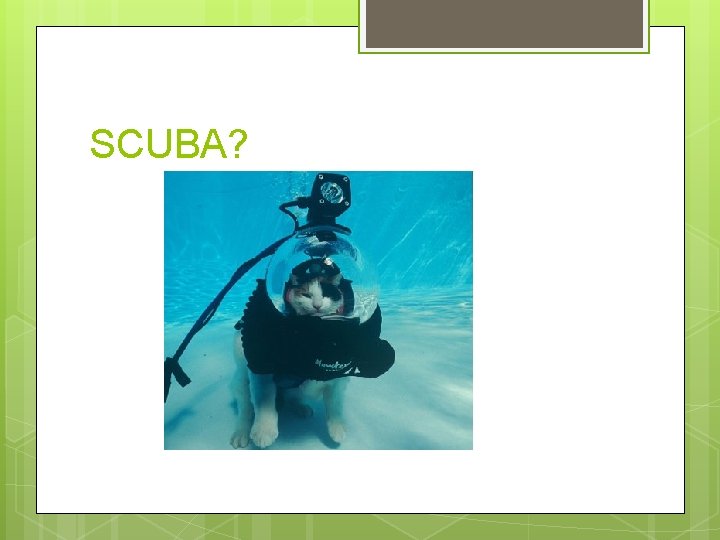 SCUBA? 