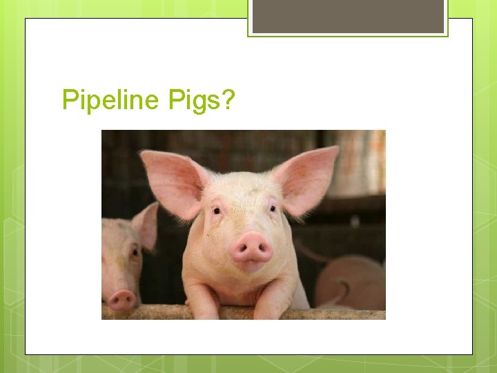 Pipeline Pigs? 