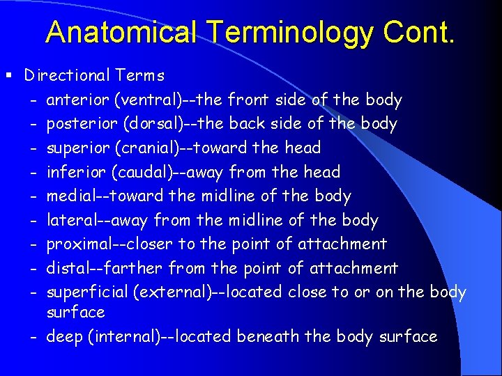 Anatomical Terminology Cont. § Directional Terms - anterior (ventral)--the front side of the body