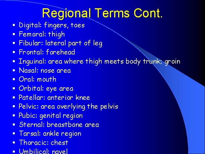 Regional Terms Cont. § § § § Digital: fingers, toes Femoral: thigh Fibular: lateral