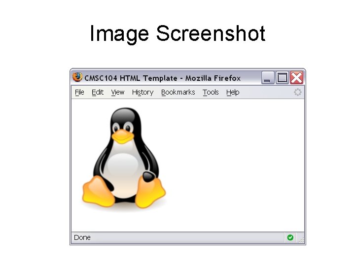 Image Screenshot 