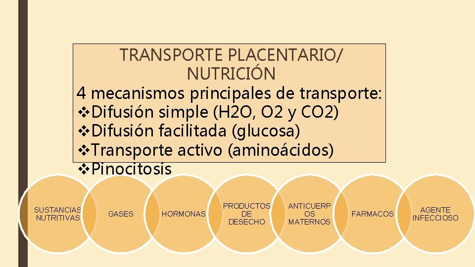 TRANSPORTE PLACENTARIO/ NUTRICIÓN 4 mecanismos principales de transporte: v. Difusión simple (H 2 O,