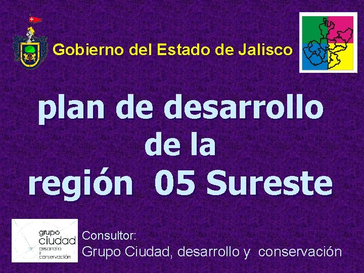 Gobierno del Estado de Jalisco plan de desarrollo de la región 05 Sureste Consultor: