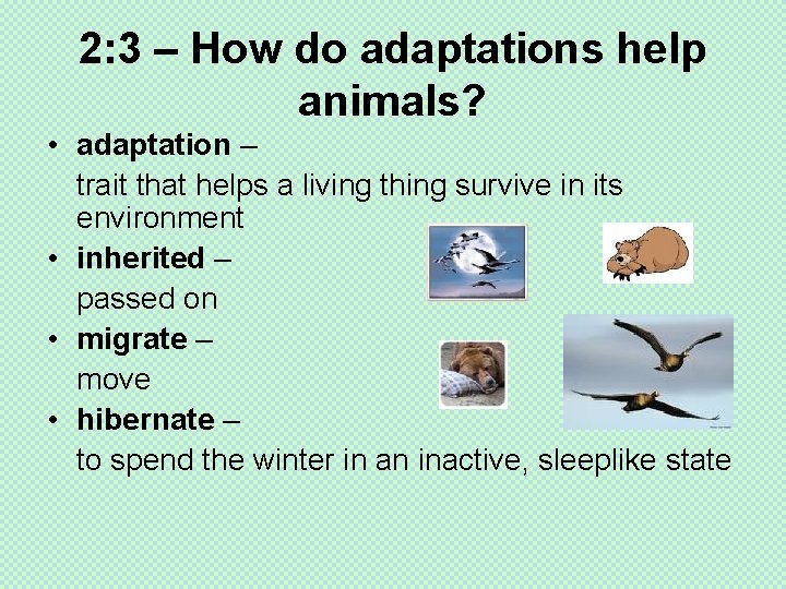 2: 3 – How do adaptations help animals? • adaptation – trait that helps