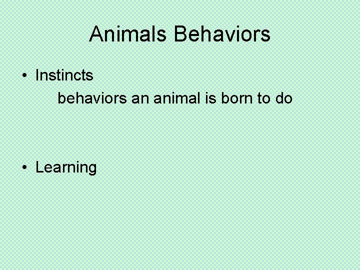 Animals Behaviors • Instincts behaviors an animal is born to do • Learning 