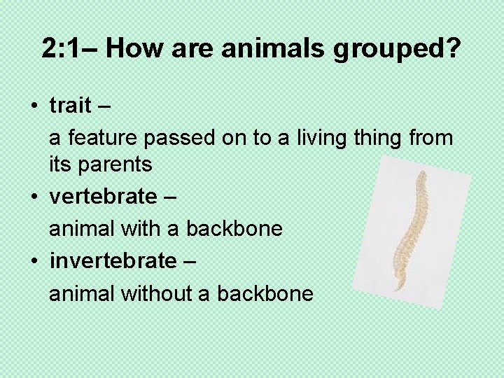 2: 1– How are animals grouped? • trait – a feature passed on to