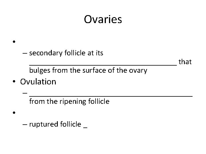 Ovaries • – secondary follicle at its ___________________ that bulges from the surface of