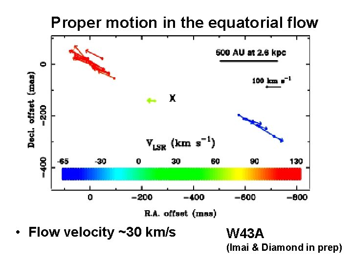Proper motion in the equatorial flow • Flow velocity ~30 km/s W 43 A