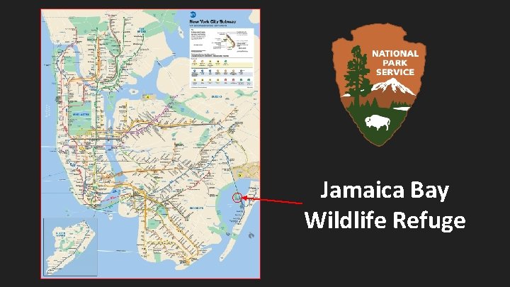 Jamaica Bay Wildlife Refuge 