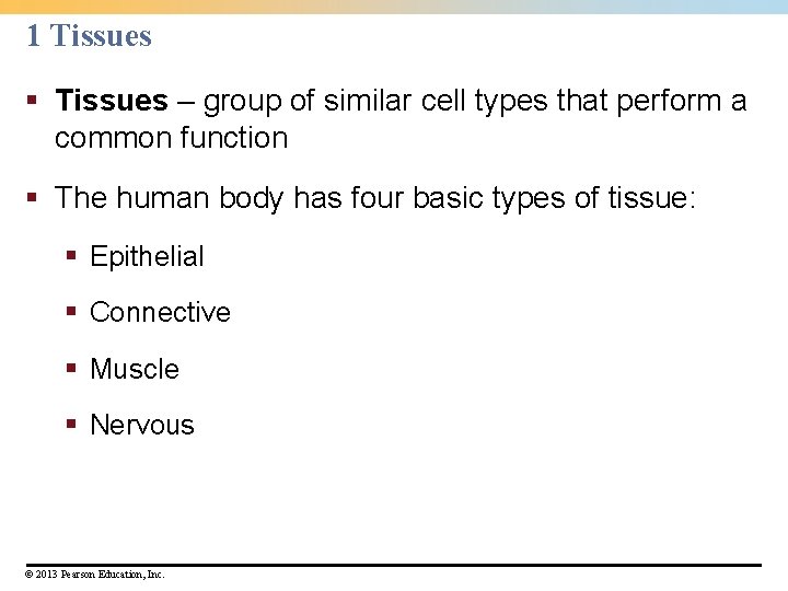 1 Tissues § Tissues – group of similar cell types that perform a common