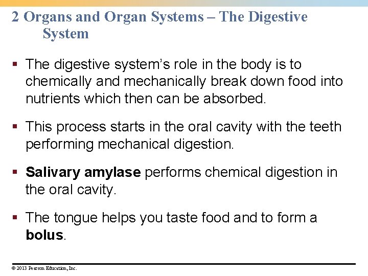 2 Organs and Organ Systems – The Digestive System § The digestive system’s role