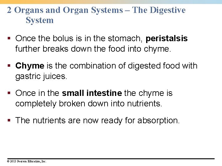 2 Organs and Organ Systems – The Digestive System § Once the bolus is