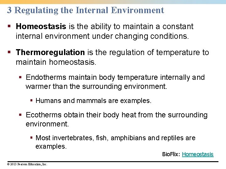 3 Regulating the Internal Environment § Homeostasis is the ability to maintain a constant