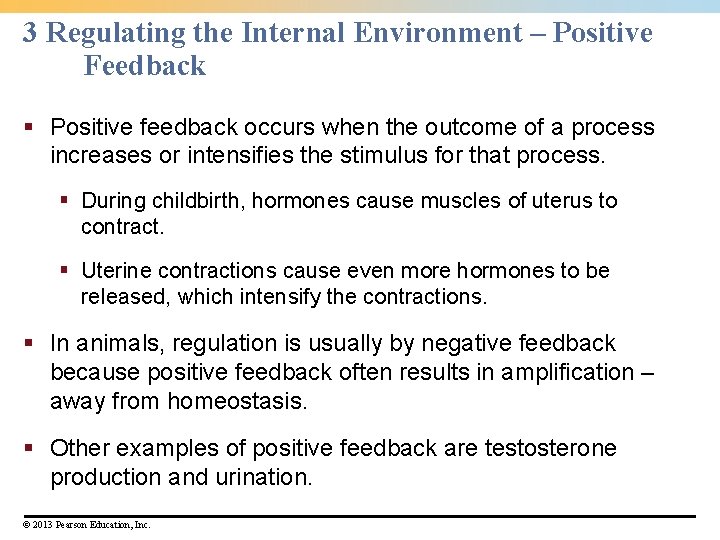 3 Regulating the Internal Environment – Positive Feedback § Positive feedback occurs when the