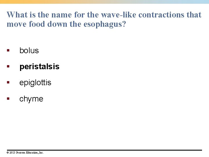 What is the name for the wave-like contractions that move food down the esophagus?