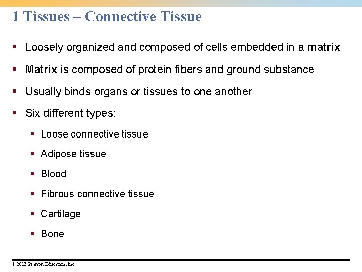 1 Tissues – Connective Tissue § Loosely organized and composed of cells embedded in