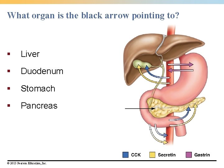 What organ is the black arrow pointing to? § Liver § Duodenum § Stomach