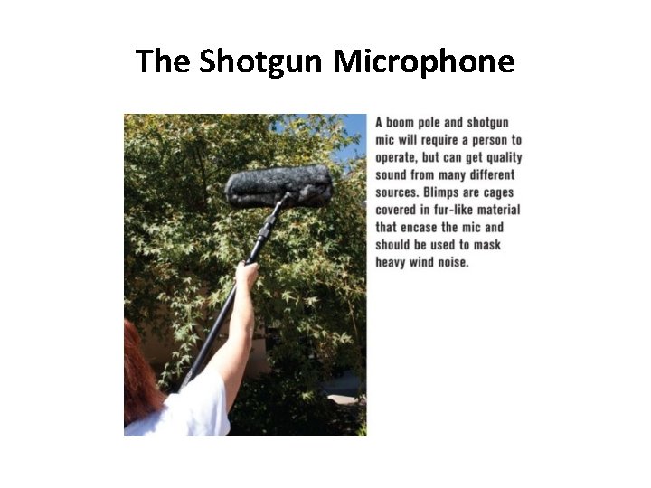 The Shotgun Microphone 