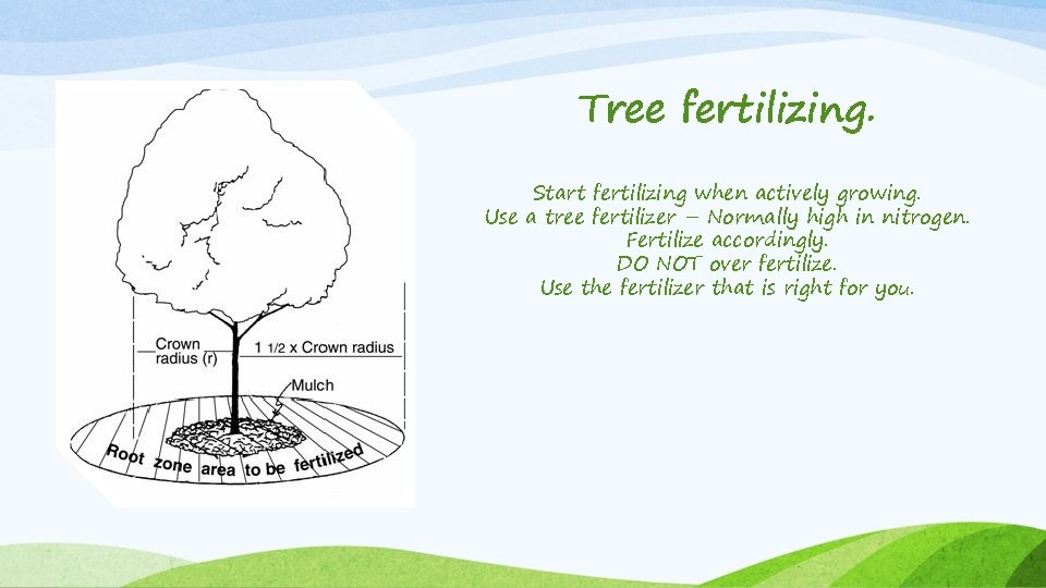 Tree fertilizing. Start fertilizing when actively growing. Use a tree fertilizer – Normally high Tree fertilizing. Start fertilizing when actively growing. Use a tree fertilizer – Normally high
