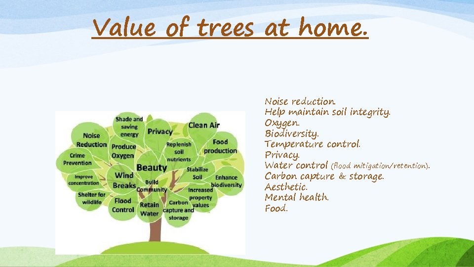 Value of trees at home. Noise reduction. Help maintain soil integrity. Oxygen. Biodiversity. Temperature Value of trees at home. Noise reduction. Help maintain soil integrity. Oxygen. Biodiversity. Temperature