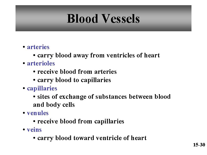 Blood Vessels • arteries • carry blood away from ventricles of heart • arterioles