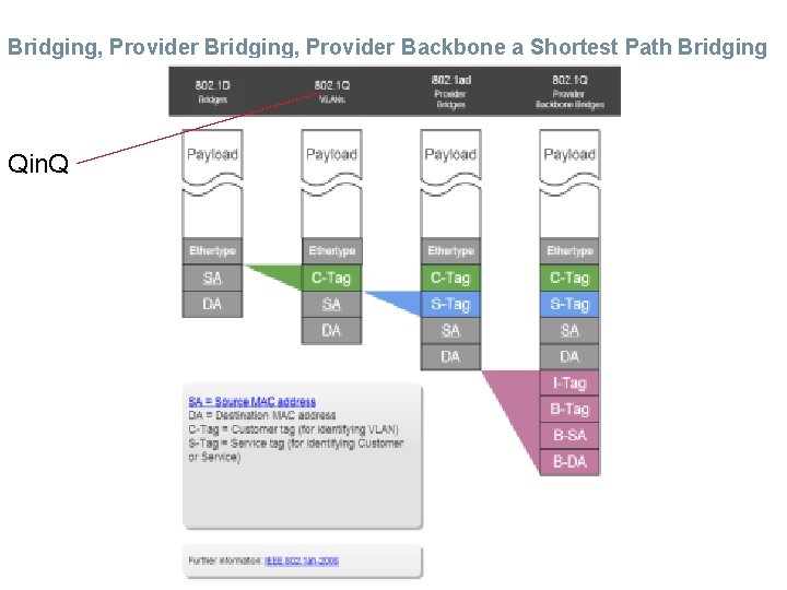 Bridging, Provider Backbone a Shortest Path Bridging Qin. Q 