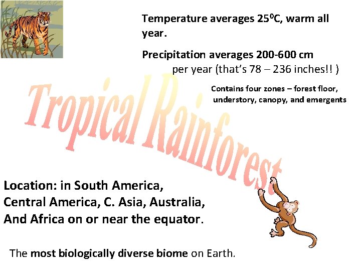Temperature averages 250 C, warm all year. Precipitation averages 200 -600 cm per year