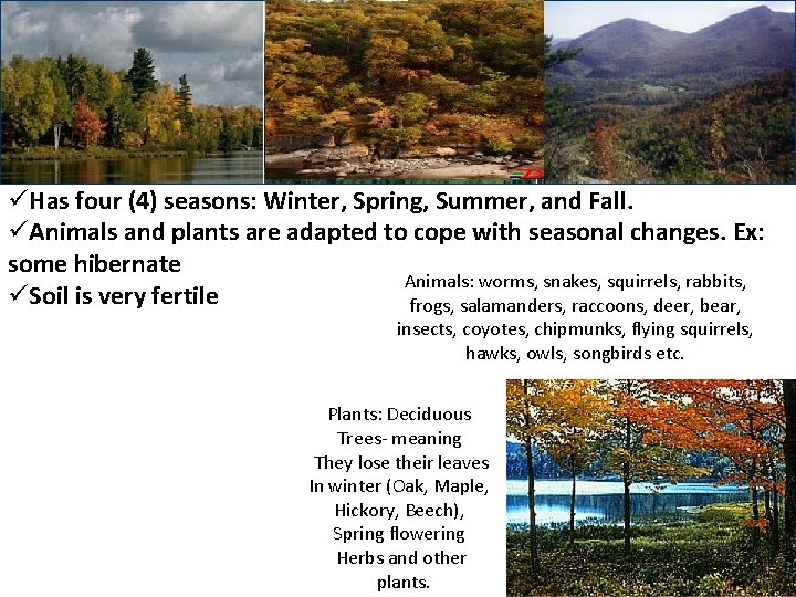 üHas four (4) seasons: Winter, Spring, Summer, and Fall. üAnimals and plants are adapted