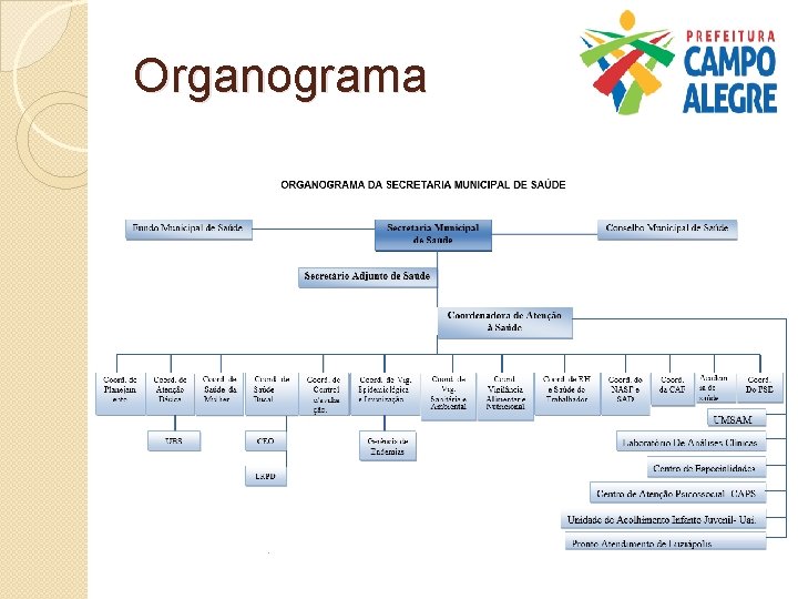 Organograma 