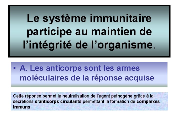 Le système immunitaire participe au maintien de l’intégrité de l’organisme. • A. Les anticorps