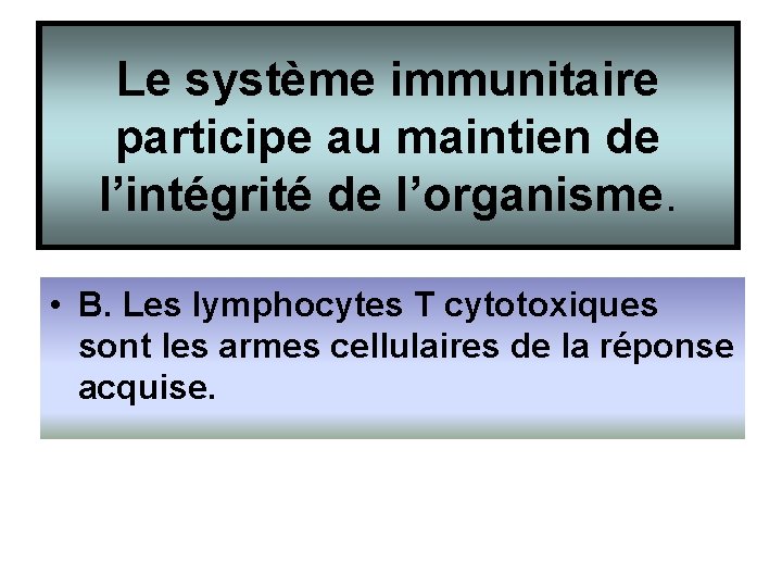 Le système immunitaire participe au maintien de l’intégrité de l’organisme. • B. Les lymphocytes