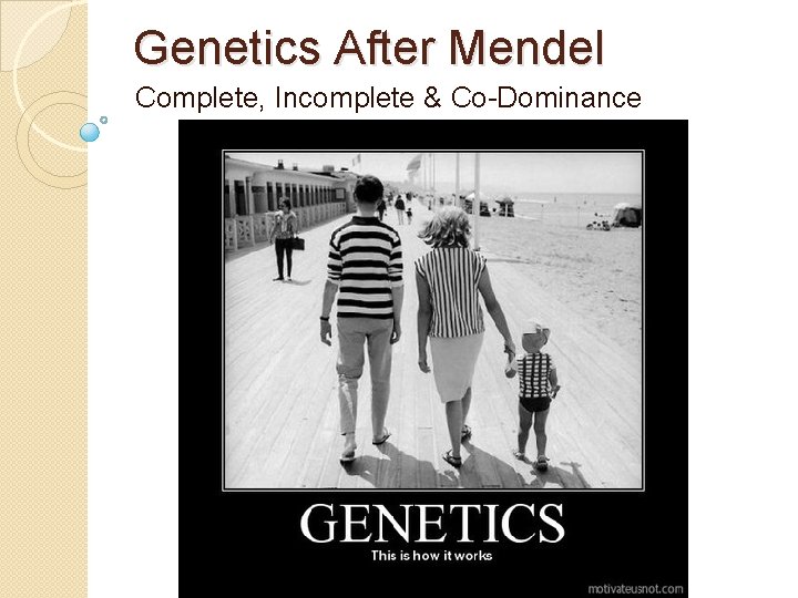 Genetics After Mendel Complete, Incomplete & Co-Dominance 