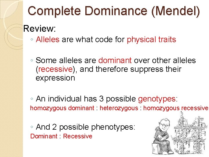 Complete Dominance (Mendel) Review: ◦ Alleles are what code for physical traits ◦ Some