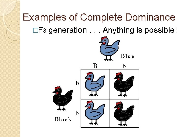 Examples of Complete Dominance �F 3 generation. . . Anything is possible! 