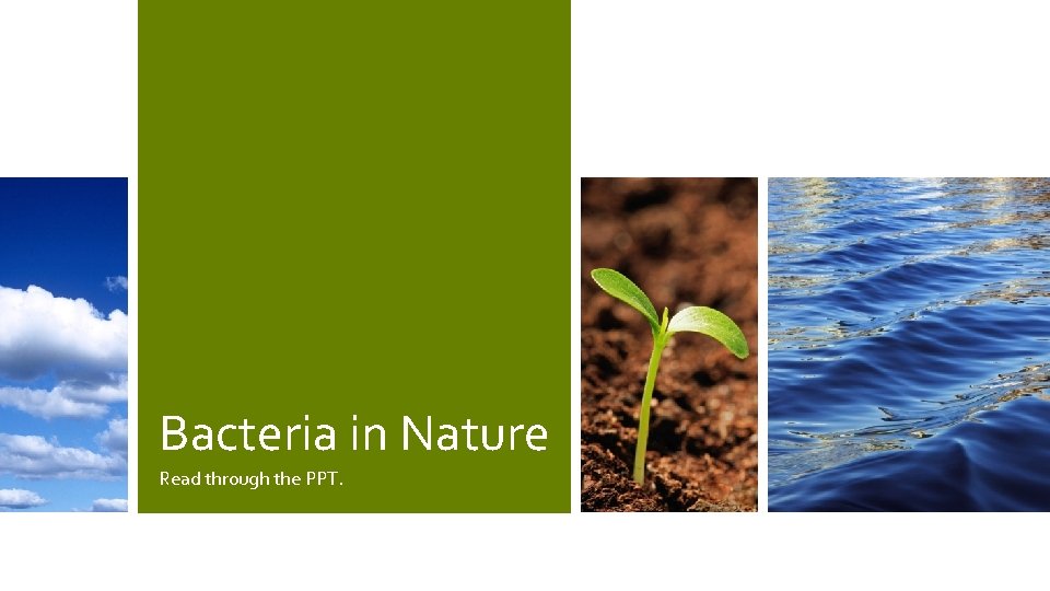 Bacteria in Nature Read through the PPT. 