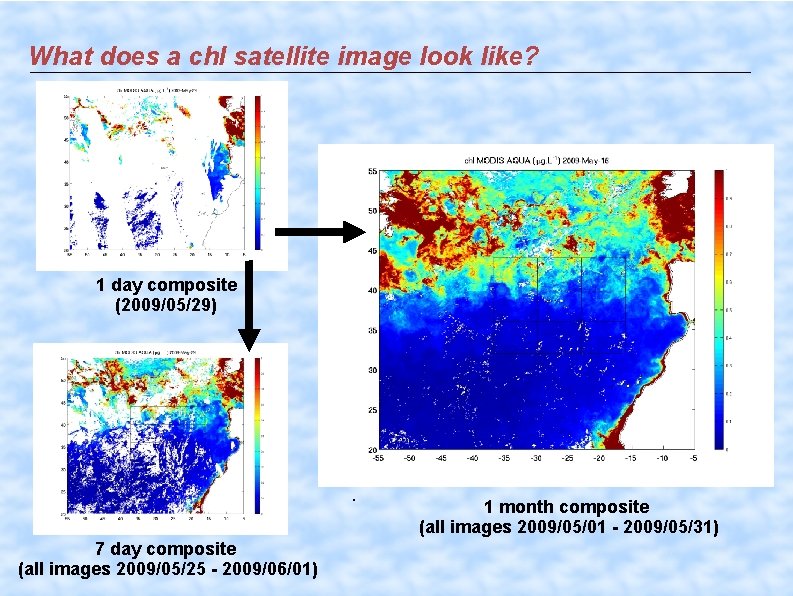 What does a chl satellite image look like? 1 day composite (2009/05/29) . 7