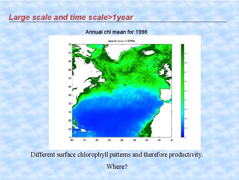 Large scale and time scale>1 year Annual chl mean for 1998 Different surface chlorophyll