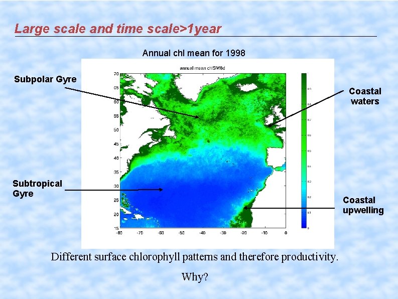 Large scale and time scale>1 year Annual chl mean for 1998 Subpolar Gyre Coastal