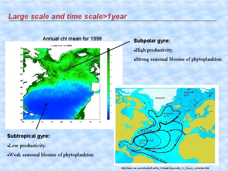 Large scale and time scale>1 year Annual chl mean for 1998 Subpolar gyre: High