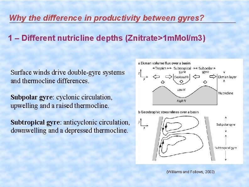 Why the difference in productivity between gyres? 1 – Different nutricline depths (Znitrate>1 m.