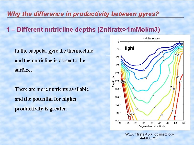 Why the difference in productivity between gyres? 1 – Different nutricline depths (Znitrate>1 m.