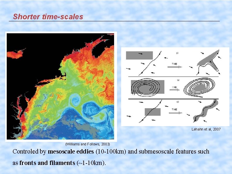 Shorter time-scales Lehahn et al, 2007 (Williams and Follows, 2003) Controled by mesoscale eddies