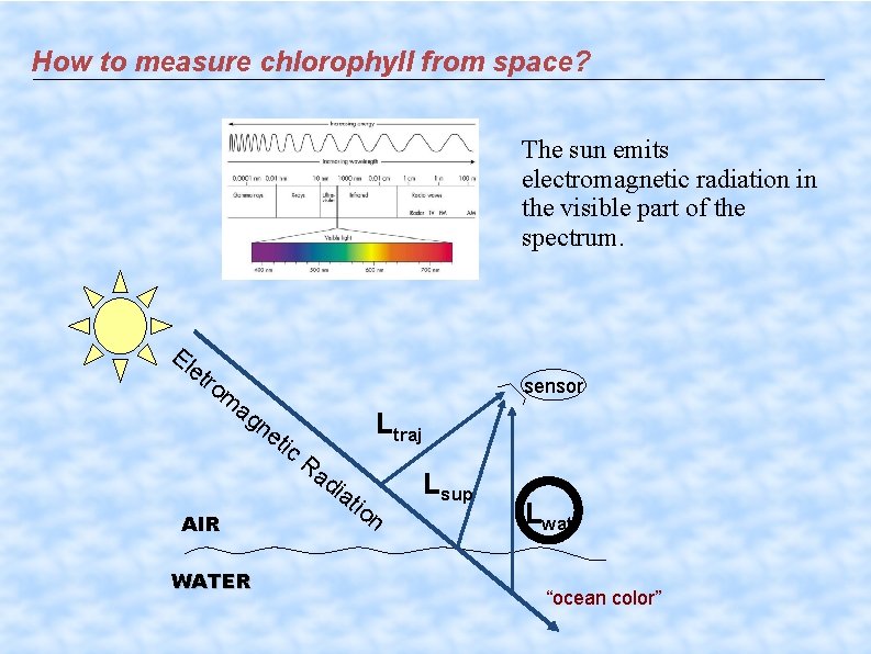 How to measure chlorophyll from space? The sun emits electromagnetic radiation in the visible